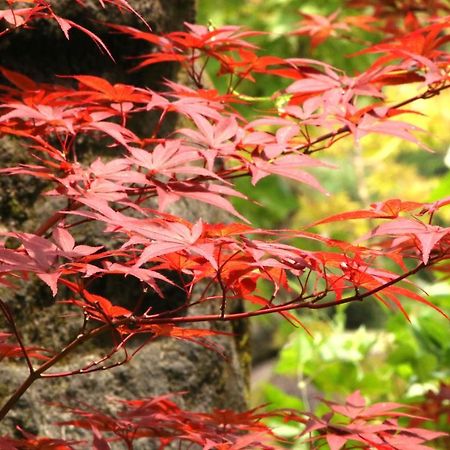 Отель Usuki Yunosato Saiki Экстерьер фото